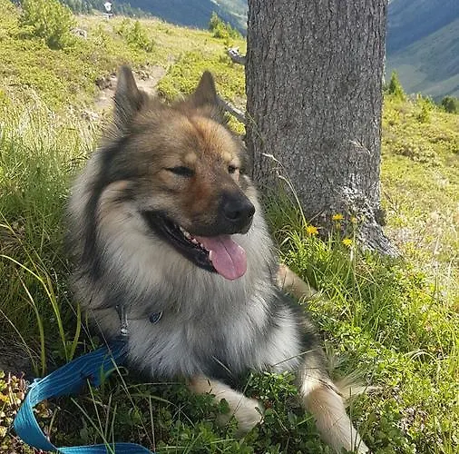 Zillertal Appartement *